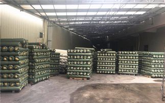 格利特新風尚 創坤金蔥粉皮革聯營百家革廠，點亮文藝創作之路